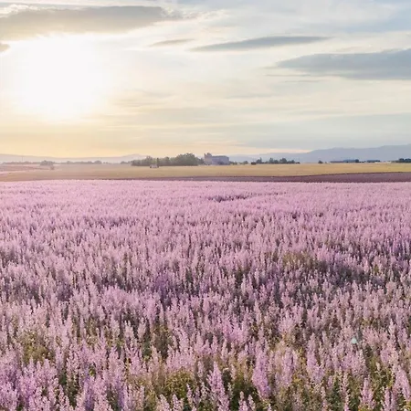 Le Des Lavandes Oda ve Kahvaltı Valensole