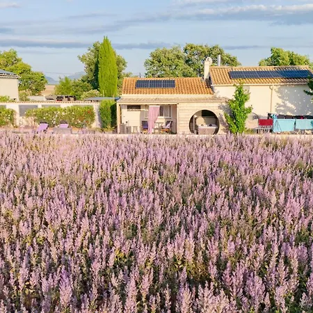 Le Des Lavandes Oda ve Kahvaltı Valensole