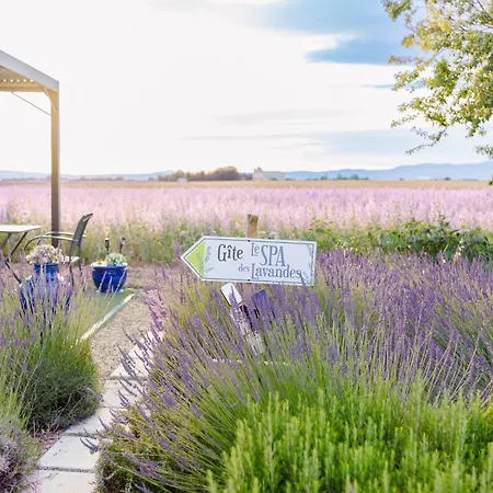 Oda ve Kahvaltı Le Des Lavandes Valensole