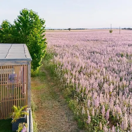 Le Des Lavandes 3* Valensole